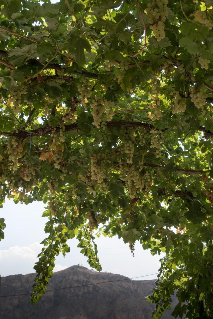 Гостевой дом Areni Wine Экстерьер фото